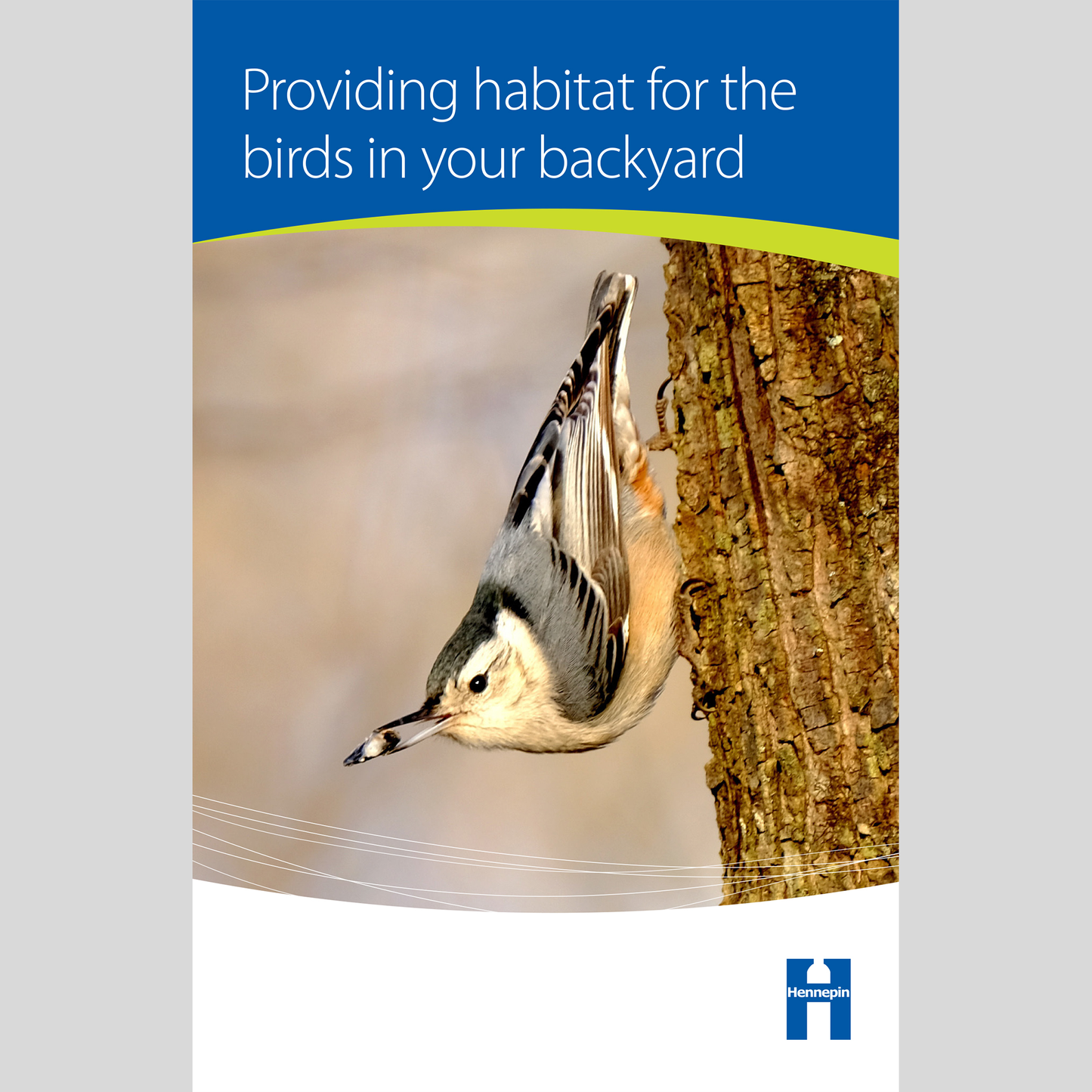 Providing habitat for the birds in your backyard