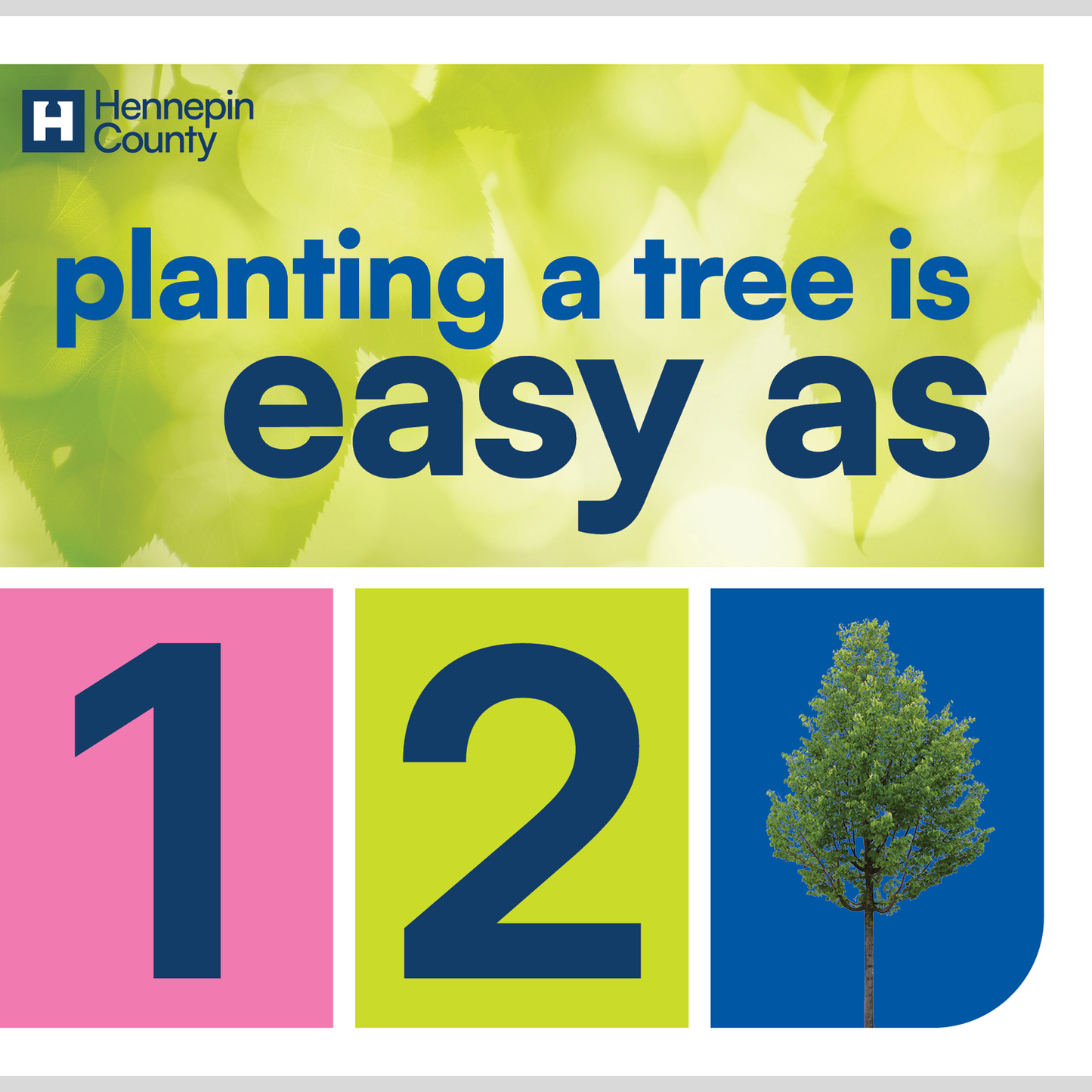 Planting a tree is easy as 1, 2, Tree