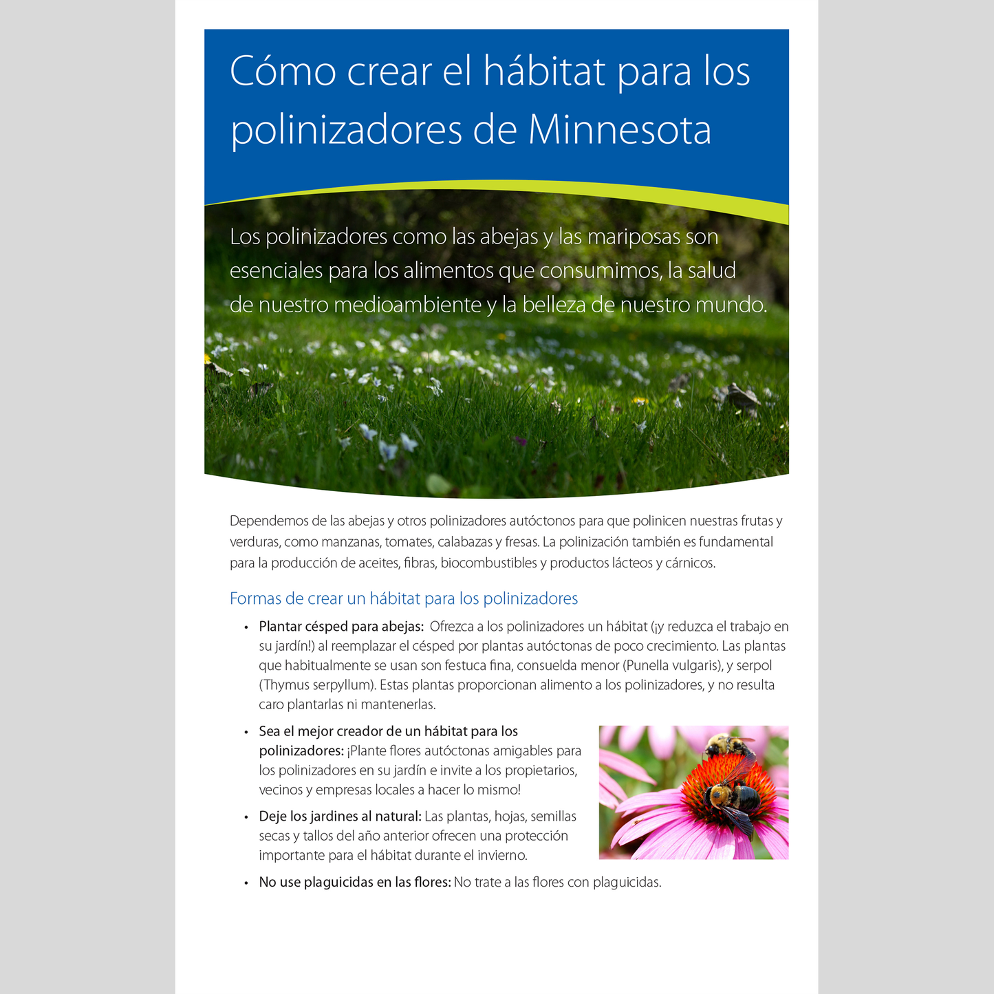 Creating habitat for Minnesota pollinators