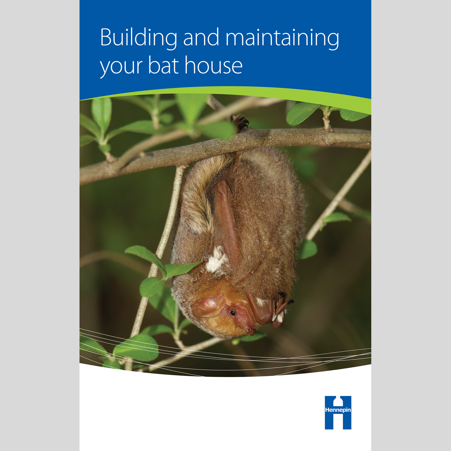 Building and maintaining your bat house