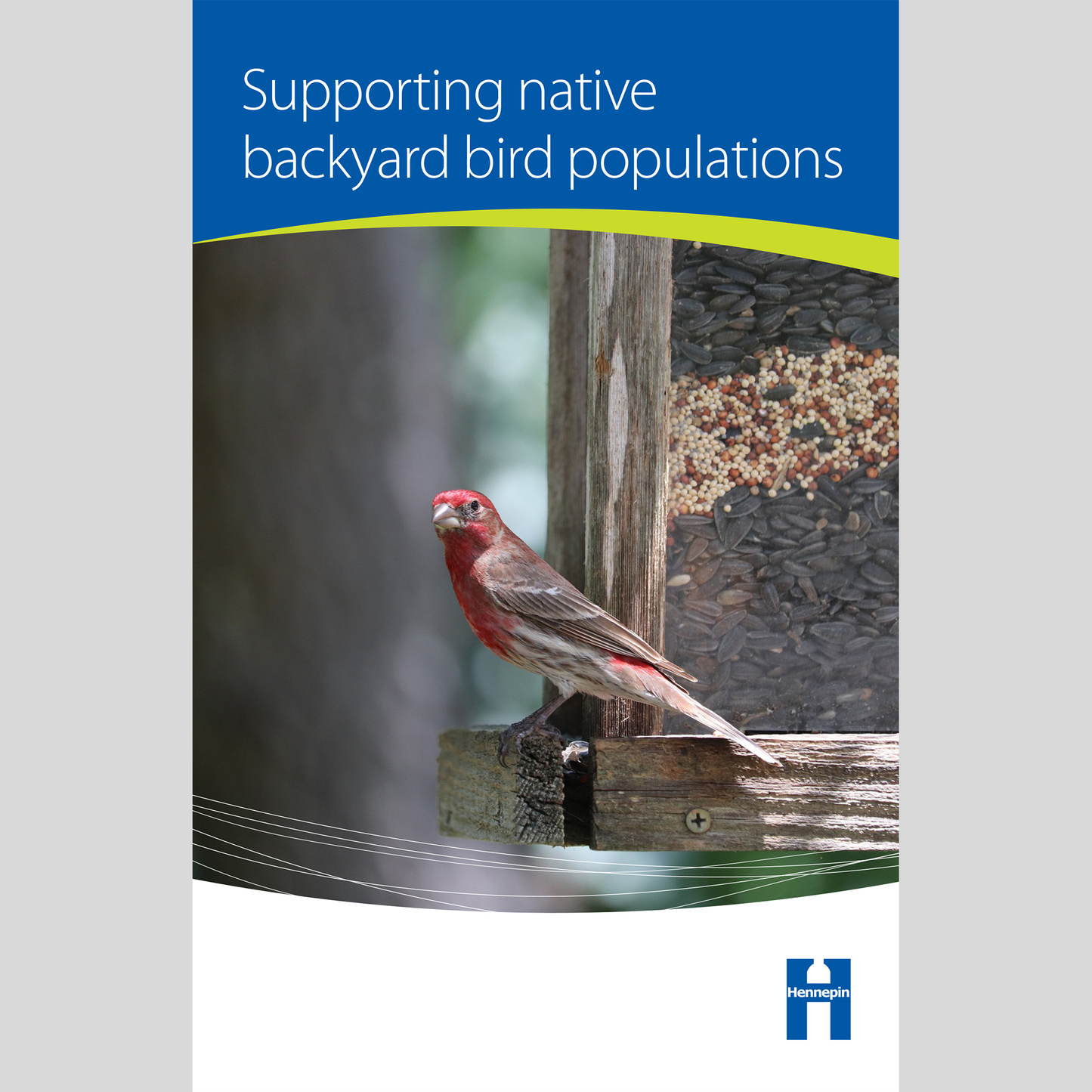 Supporting native backyard bird populations
