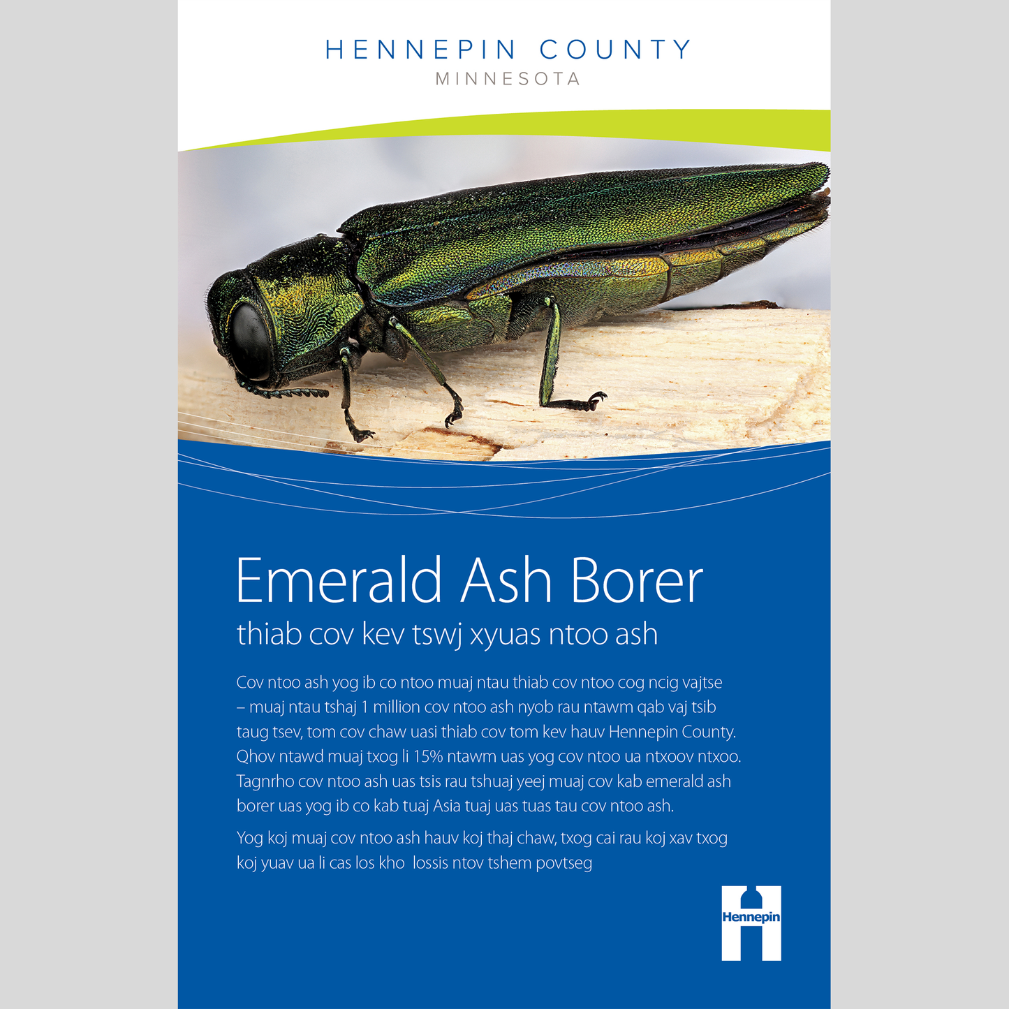 Emerald ash borer and options for managing ash trees booklet