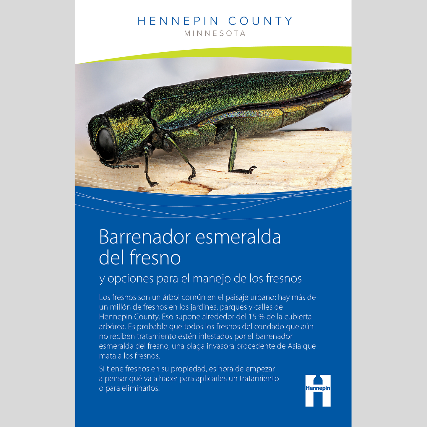 Emerald ash borer and options for managing ash trees booklet