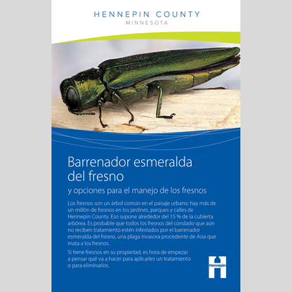 Emerald ash borer and options for managing ash trees booklet