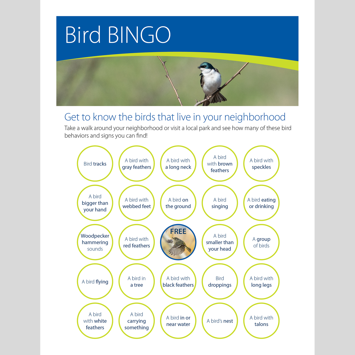 Bird BINGO